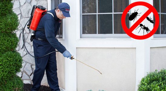 Atakent Böcek ve Haşere İlaçlama böcek ilaçlama ve haşere kontrolü — ilaclama-tr.com